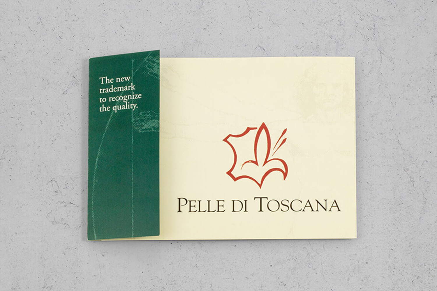 Pelle di Toscana