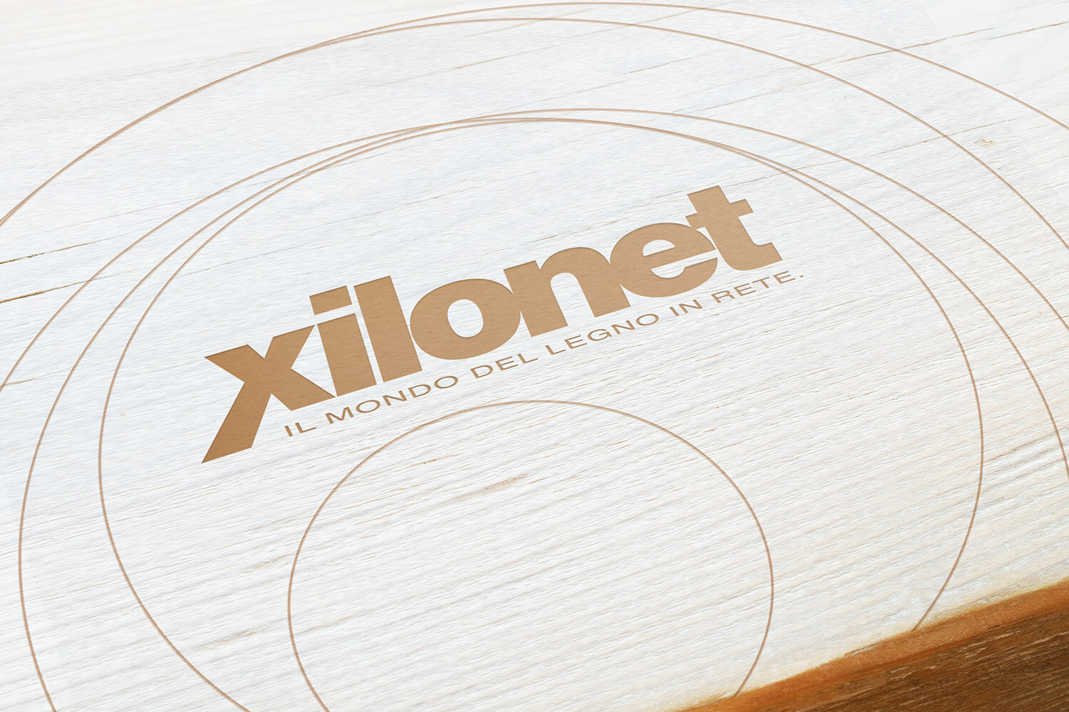 Xilonet