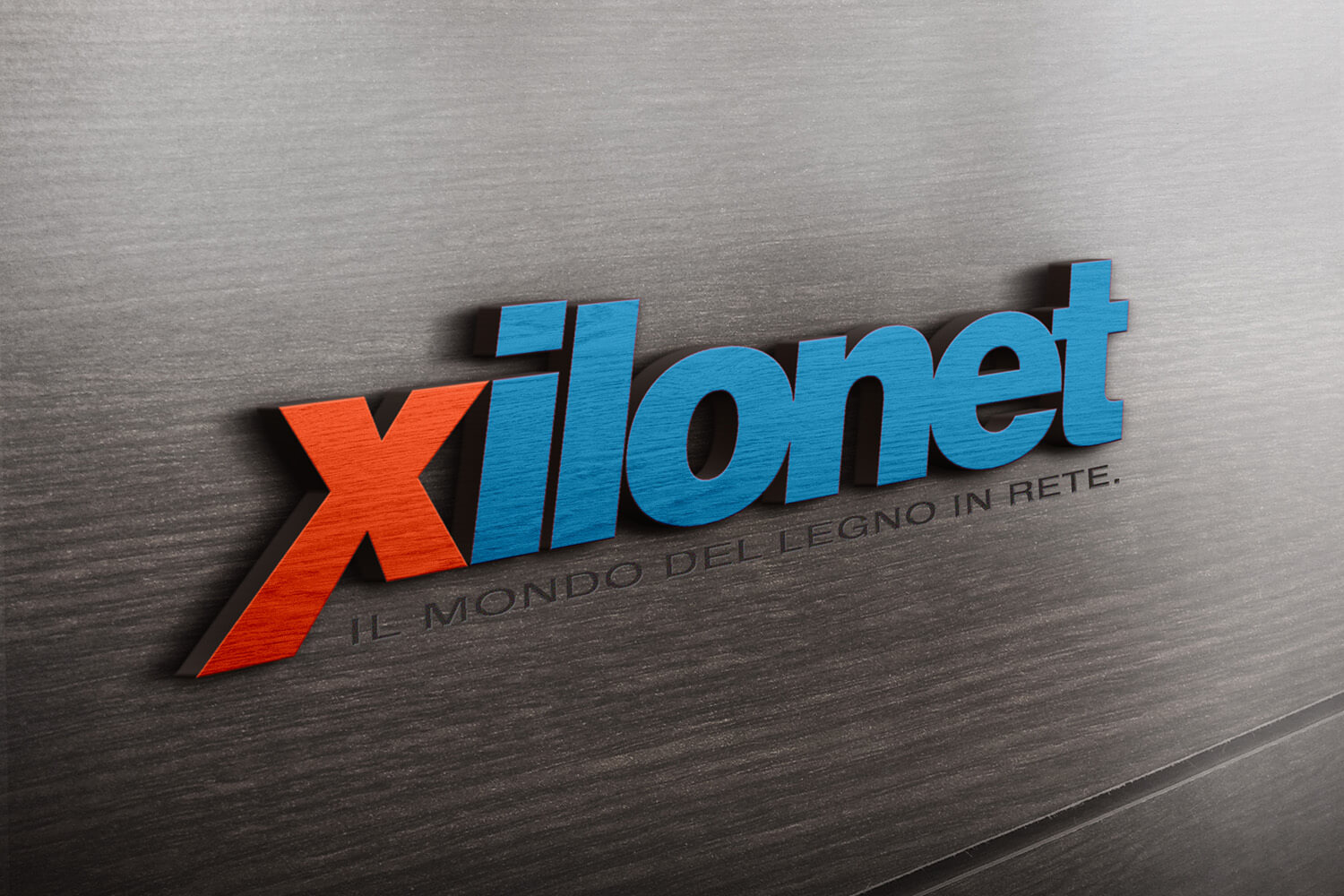 Xilonet